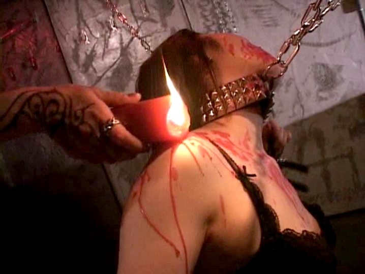 TK-009/111tk00009のキービジュアル