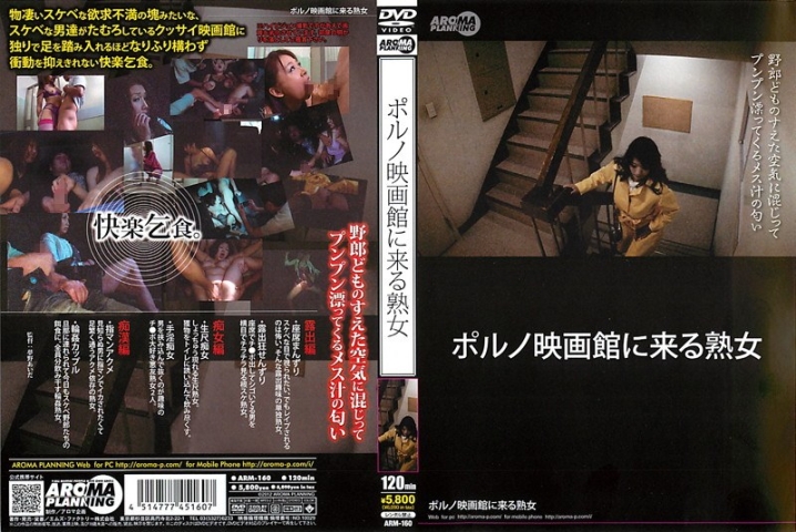 ARM-160/11arm00160のメインビジュアル