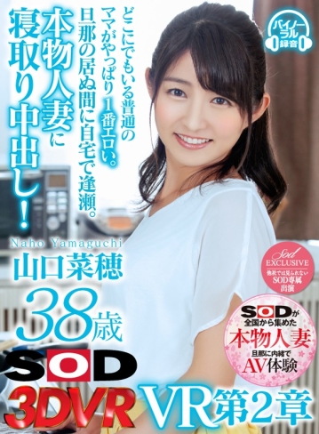 3DSVR-0362/13dsvr00362のキービジュアル
