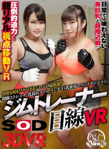 3DSVR-0408/13dsvr00408のキービジュアル