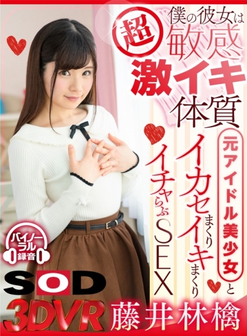 3DSVR-0452/13dsvr00452のキービジュアル