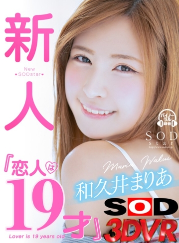 3DSVR-0489/13dsvr00489のキービジュアル