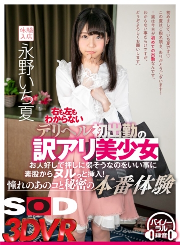 3DSVR-0497/13dsvr00497のキービジュアル