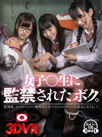 3DSVR-0513/13dsvr00513のキービジュアル