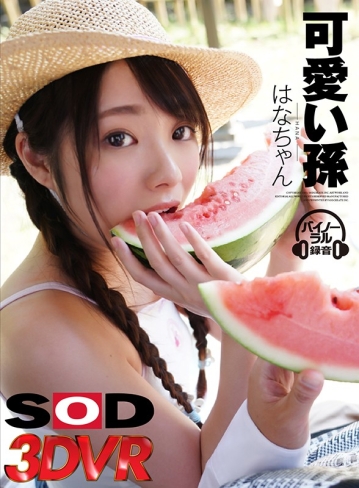 3DSVR-0523/13dsvr00523のキービジュアル