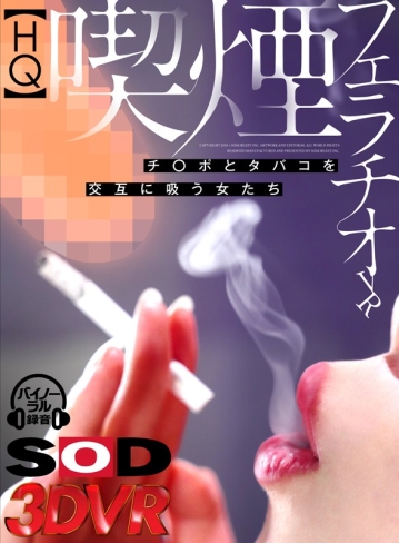 3DSVR-0532/13dsvr00532のキービジュアル