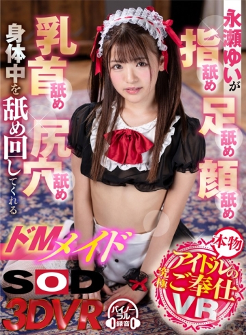 3DSVR-0533/13dsvr00533のキービジュアル