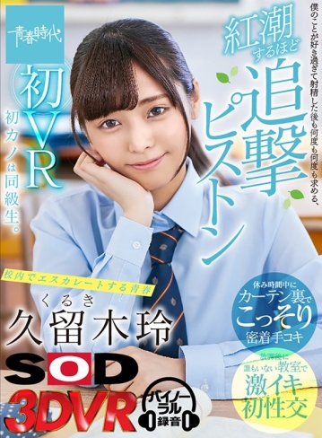 3DSVR-0579/13dsvr00579のキービジュアル