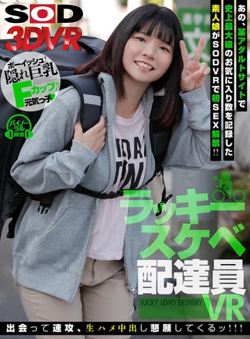 3DSVR-0602/13dsvr00602のキービジュアル