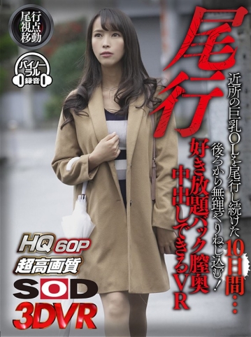 3DSVR-0630/13dsvr00630のキービジュアル
