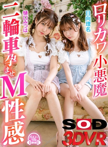 3DSVR-0805/13dsvr00805のキービジュアル