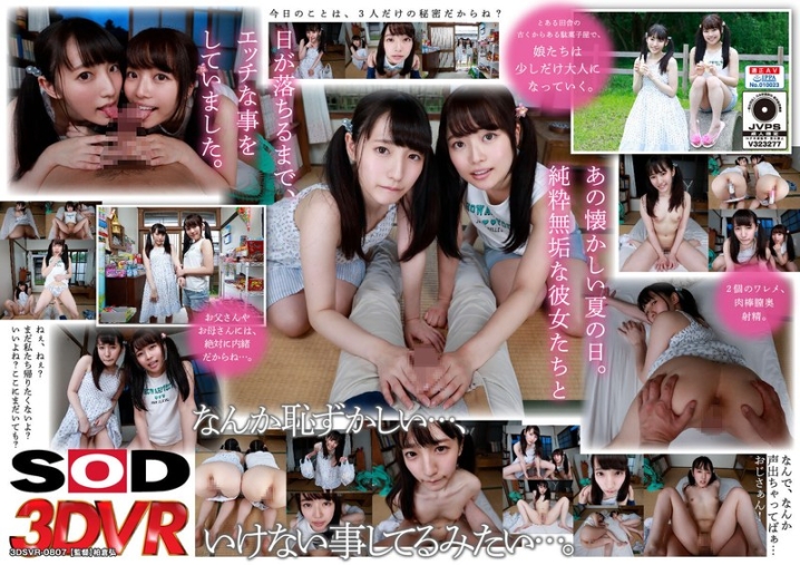 3DSVR-0807/13dsvr00807のメインビジュアル