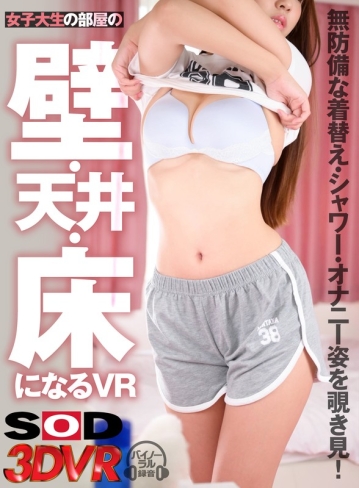 3DSVR-0899/13dsvr00899のキービジュアル