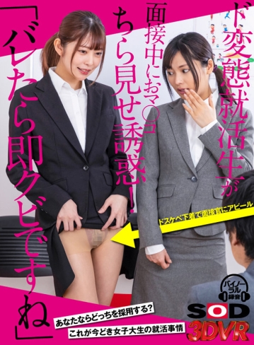 3DSVR-0983/13dsvr00983のキービジュアル