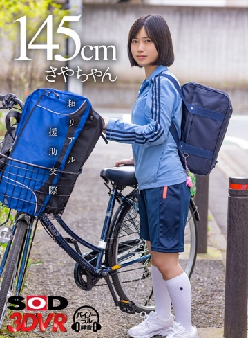 3DSVR-1031/13dsvr01031のキービジュアル