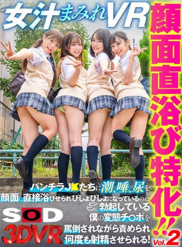 3DSVR-1074/13dsvr01074のキービジュアル