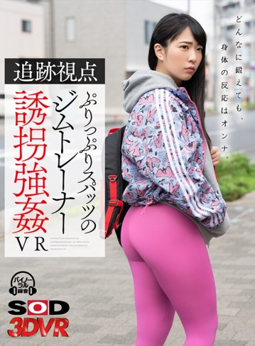 3DSVR-1100/13dsvr01100のキービジュアル