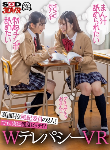 3DSVR-1113/13dsvr01113のキービジュアル