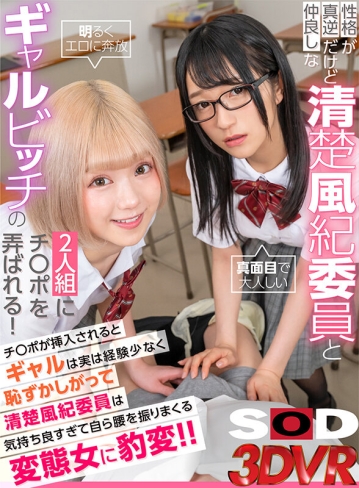 3DSVR-1136/13dsvr01136のキービジュアル