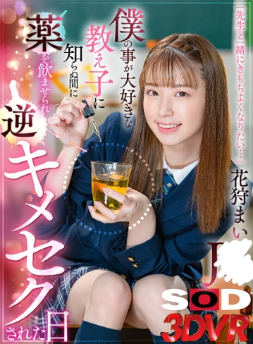 3DSVR-1232/13dsvr01232のキービジュアル