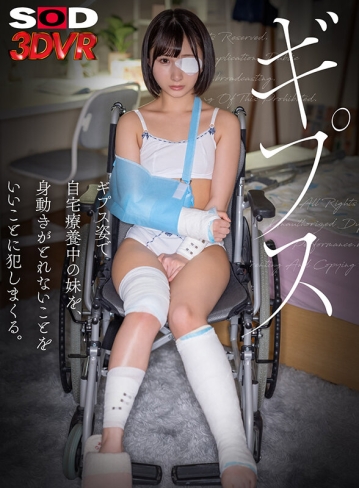 3DSVR-1285/13dsvr01285のキービジュアル