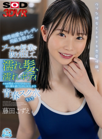 3DSVR-1293/13dsvr01293のキービジュアル