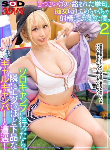 3DSVR-1311/13dsvr01311のキービジュアル