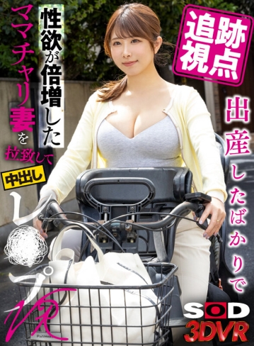 3DSVR-1312/13dsvr01312のキービジュアル