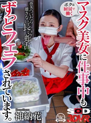 3DSVR-1320/13dsvr01320のキービジュアル