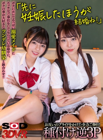 3DSVR-1330/13dsvr01330のキービジュアル