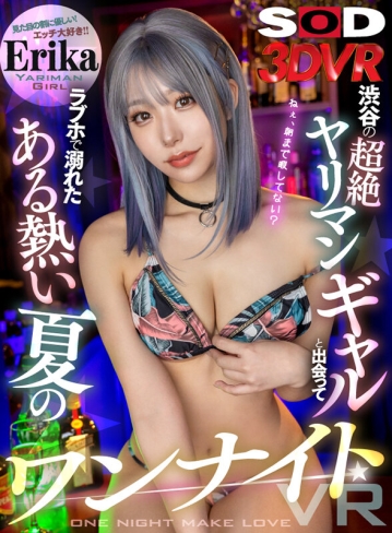 3DSVR-1338/13dsvr01338のキービジュアル