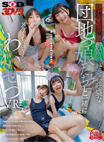 3DSVR-1340/13dsvr01340のキービジュアル