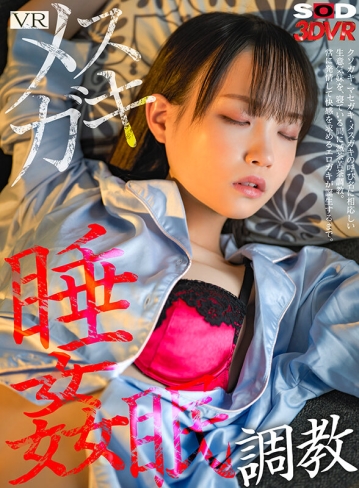 3DSVR-1355/13dsvr01355のキービジュアル