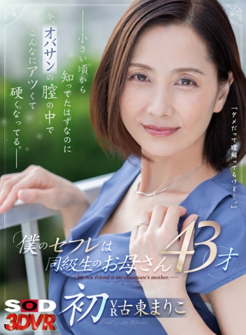 3DSVR-1395/13dsvr01395のキービジュアル