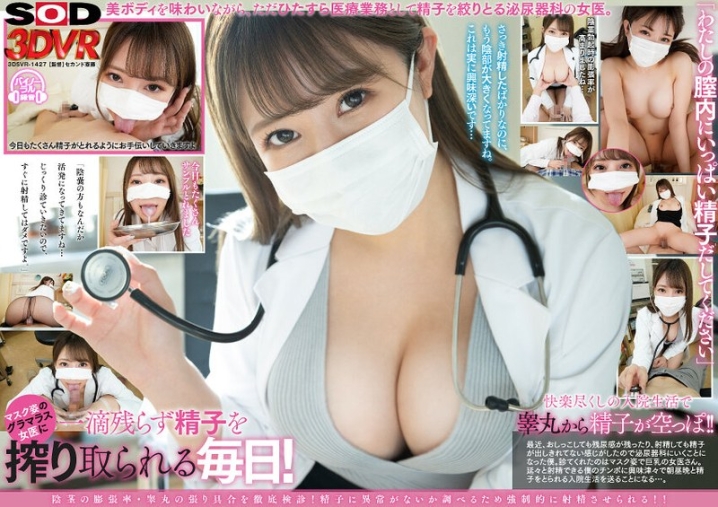 3DSVR-1427/13dsvr01427のメインビジュアル