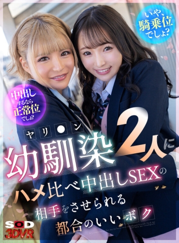 3DSVR-1524/13dsvr01524のキービジュアル