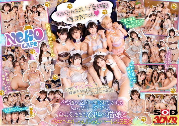 3DSVR-1525/13dsvr01525のメインビジュアル