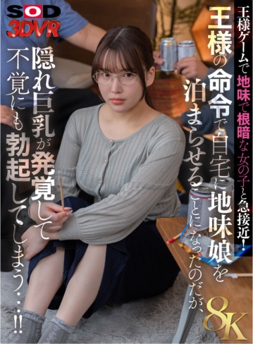 3DSVR-1531/13dsvr01531のキービジュアル