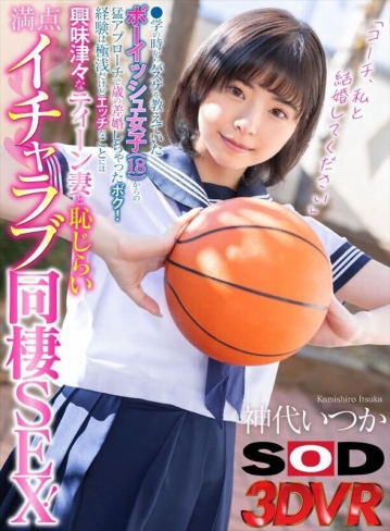 3DSVR-1544/13dsvr01544のキービジュアル