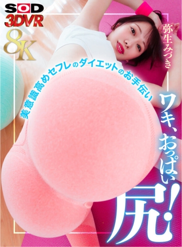 3DSVR-1588/13dsvr01588のキービジュアル