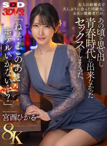 3DSVR-1616/13dsvr01616のキービジュアル