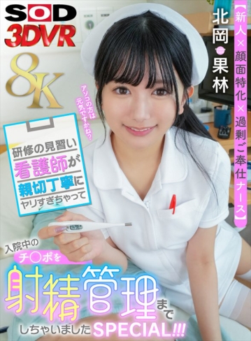 3DSVR-1617/13dsvr01617のキービジュアル