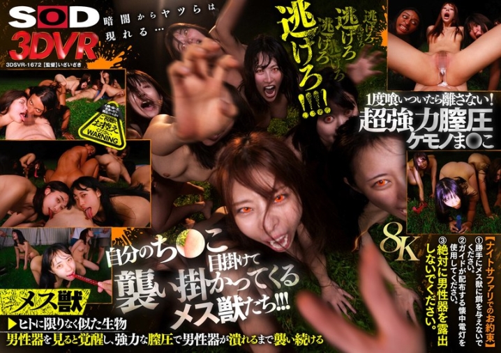 3DSVR-1672/13dsvr01672のメインビジュアル