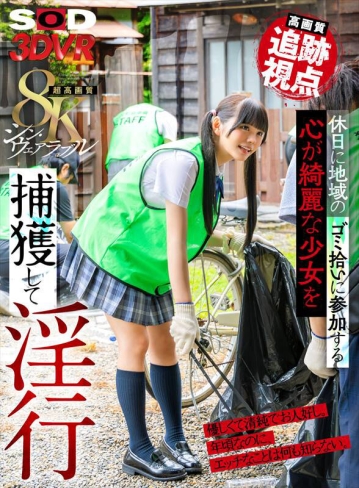 3DSVR-1681/13dsvr01681のキービジュアル