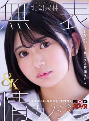 3DSVR-1732/13dsvr01732のキービジュアル