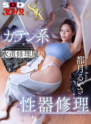 3DSVR-1735/13dsvr01735のキービジュアル