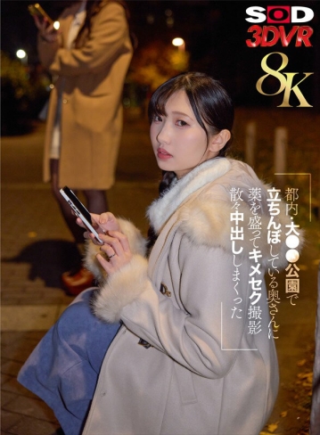 3DSVR-1739/13dsvr01739のキービジュアル