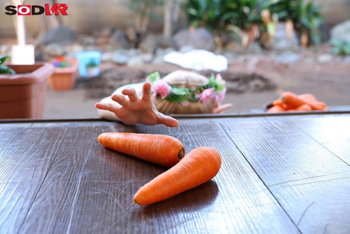 3DSVR-1746/13dsvr01746のティザービジュアル1