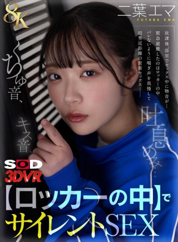 3DSVR-1781/13dsvr01781のキービジュアル
