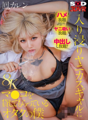 3DSVR-1792/13dsvr01792のキービジュアル